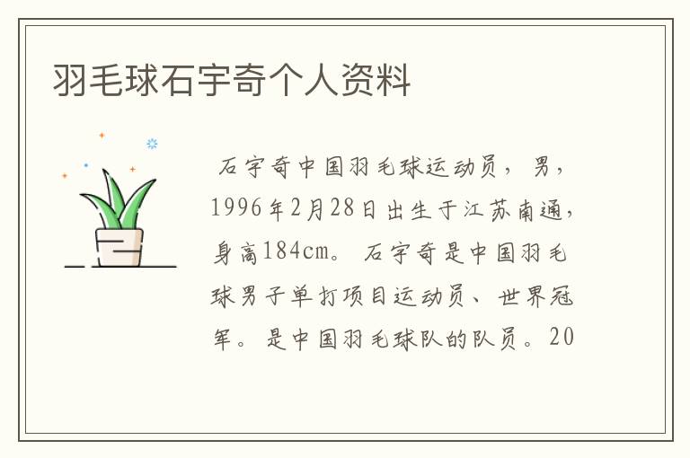 羽毛球石宇奇个人资料