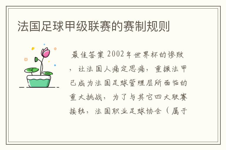 法国足球甲级联赛的赛制规则