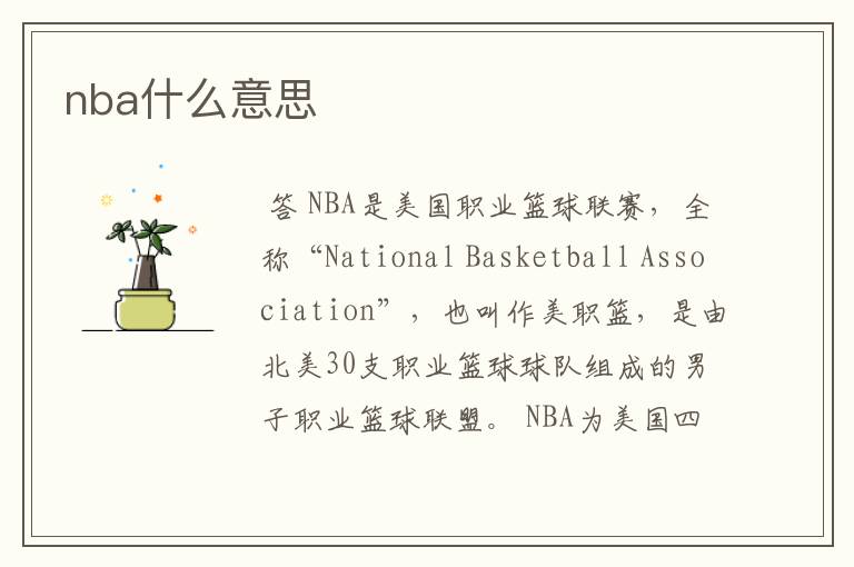 nba什么意思