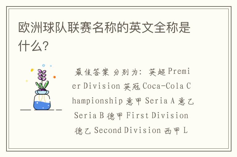 欧洲球队联赛名称的英文全称是什么?