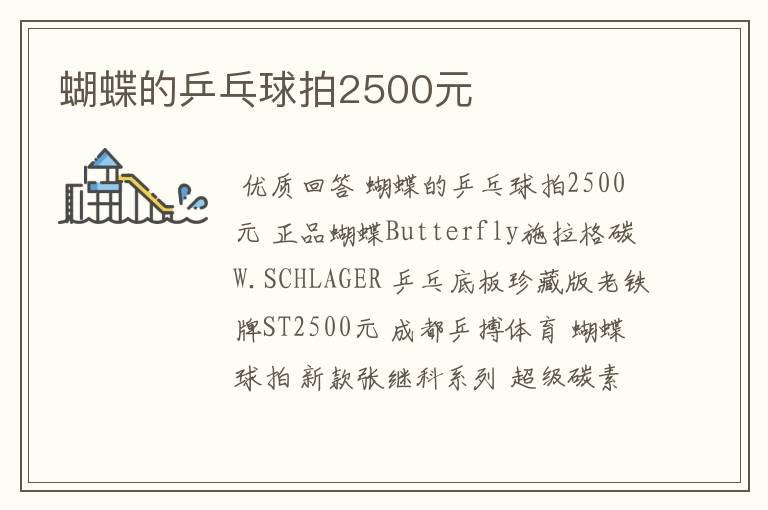 蝴蝶的乒乓球拍2500元