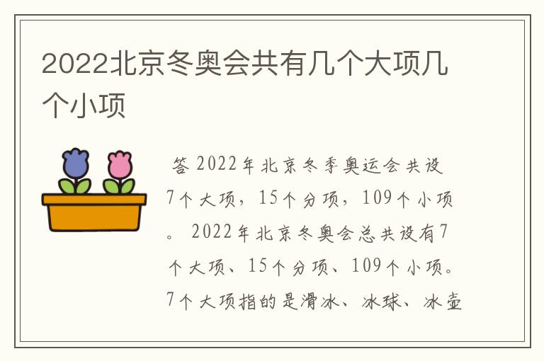 2022北京冬奥会共有几个大项几个小项