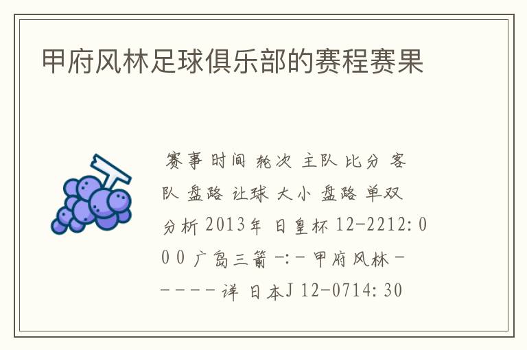 甲府风林足球俱乐部的赛程赛果