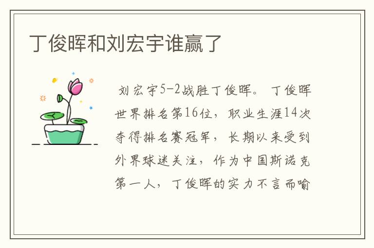 丁俊晖和刘宏宇谁赢了
