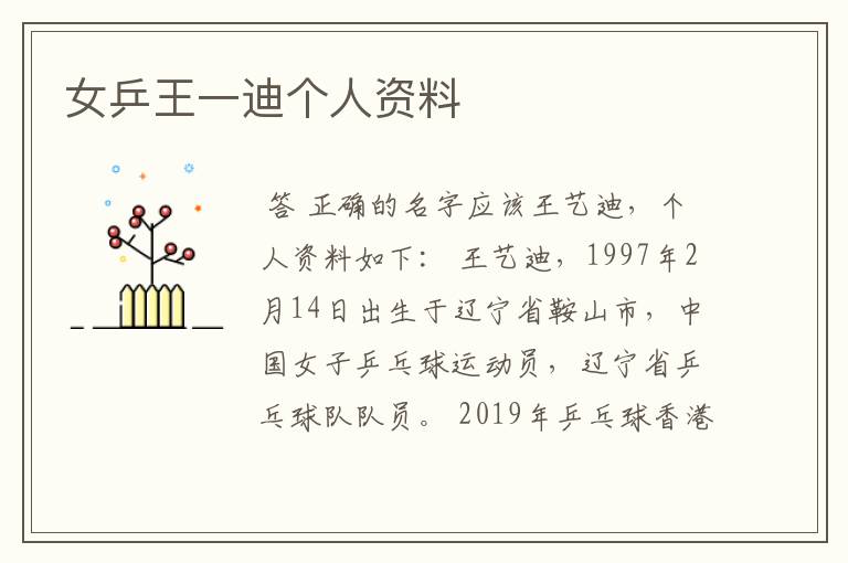 女乒王一迪个人资料