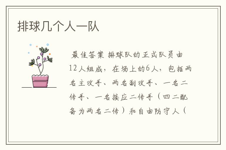 排球几个人一队