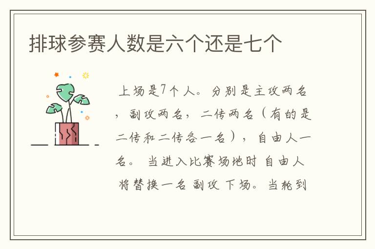排球参赛人数是六个还是七个