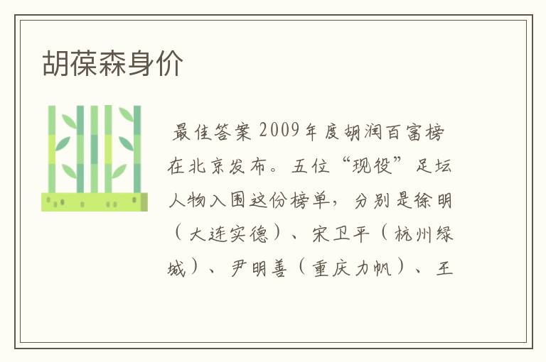胡葆森身价