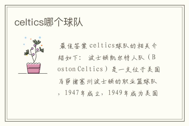 celtics哪个球队