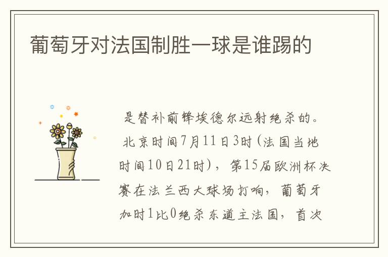 葡萄牙对法国制胜一球是谁踢的