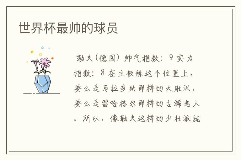 世界杯最帅的球员