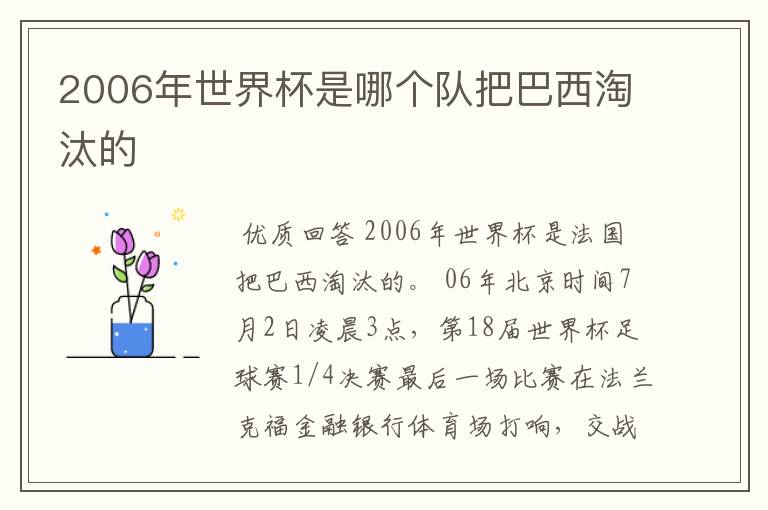 2006年世界杯是哪个队把巴西淘汰的