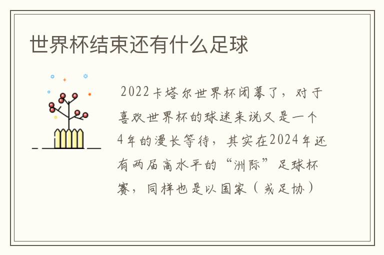 世界杯结束还有什么足球