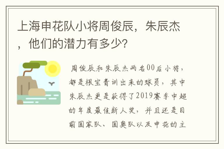 上海申花队小将周俊辰,朱辰杰,他们的潜力有多少?