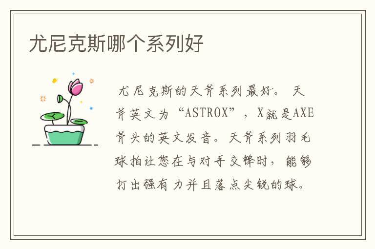 尤尼克斯哪个系列好