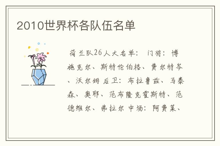 2010世界杯各队伍名单