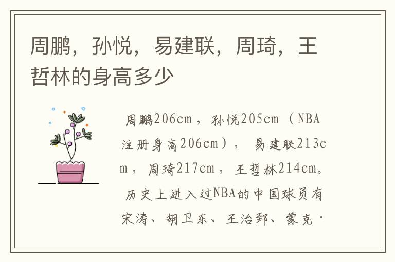 周鹏,孙悦,易建联,周琦,王哲林的身高多少