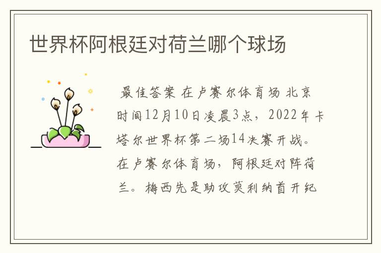 世界杯阿根廷对荷兰哪个球场