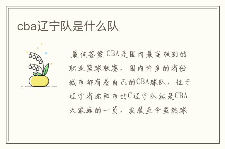 cba辽宁队是什么队