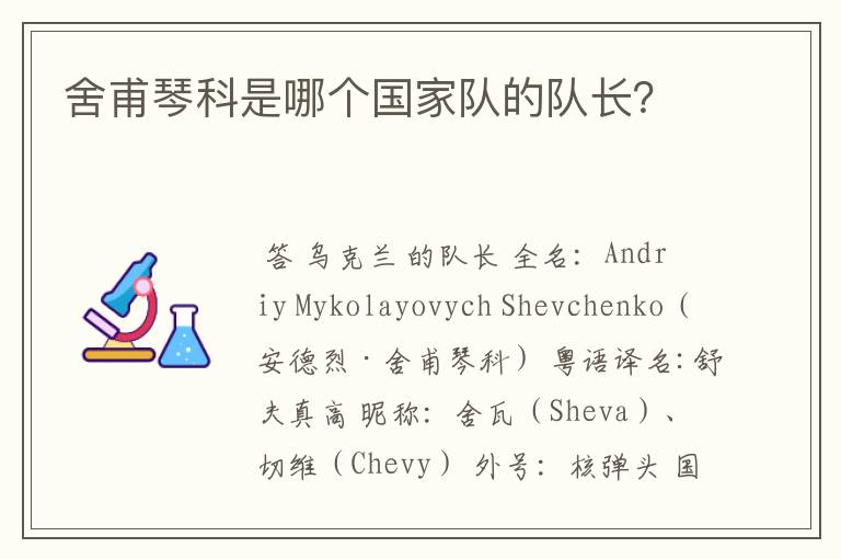 舍甫琴科是哪个国家队的队长?