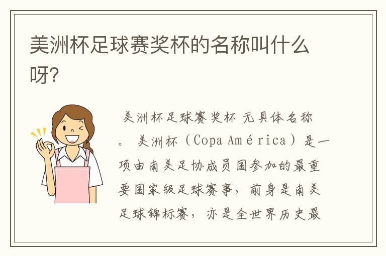 美洲杯足球赛奖杯的名称叫什么呀?
