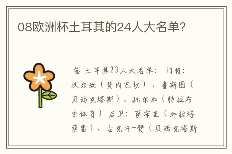 08欧洲杯土耳其的24人大名单？