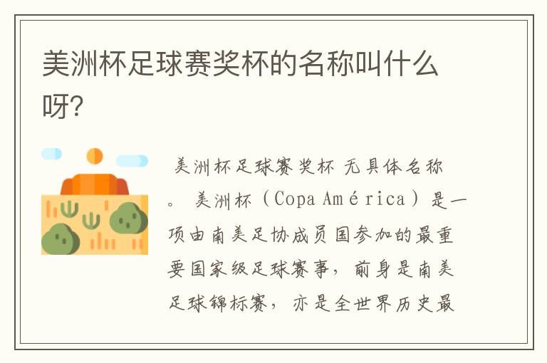 美洲杯足球赛奖杯的名称叫什么呀?