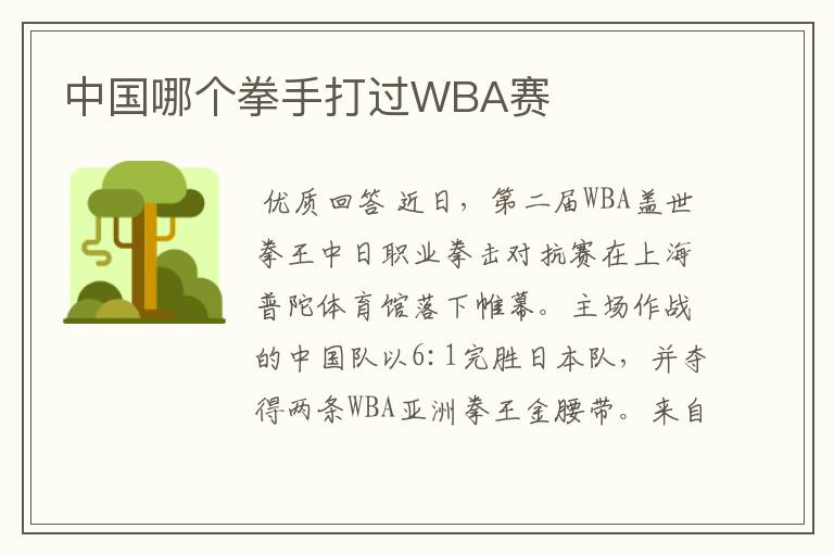 中国哪个拳手打过WBA赛