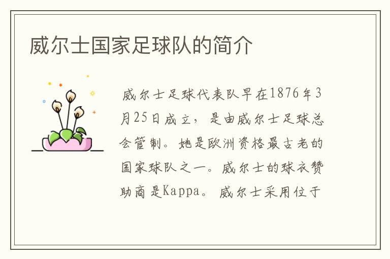威尔士国家足球队的简介