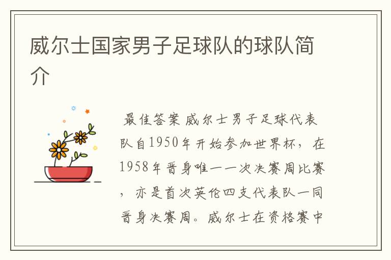 威尔士国家男子足球队的球队简介