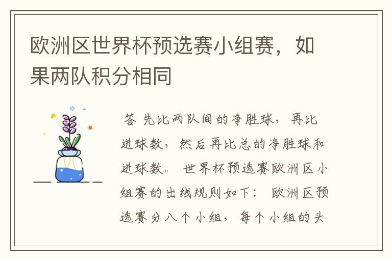 欧洲区世界杯预选赛小组赛,如果两队积分相同