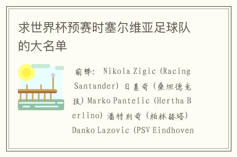 求世界杯预赛时塞尔维亚足球队的大名单