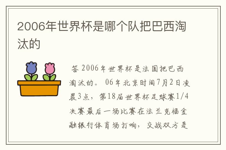 2006年世界杯是哪个队把巴西淘汰的