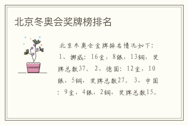 北京冬奥会奖牌榜排名