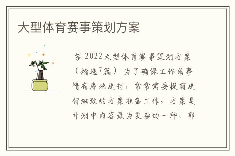 大型体育赛事策划方案