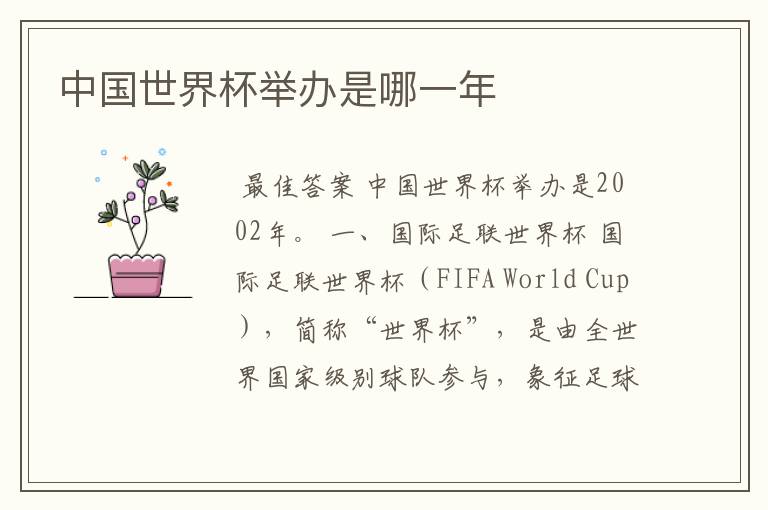中国世界杯举办是哪一年
