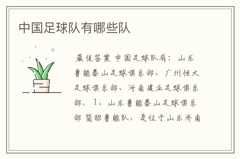 中国足球队有哪些队