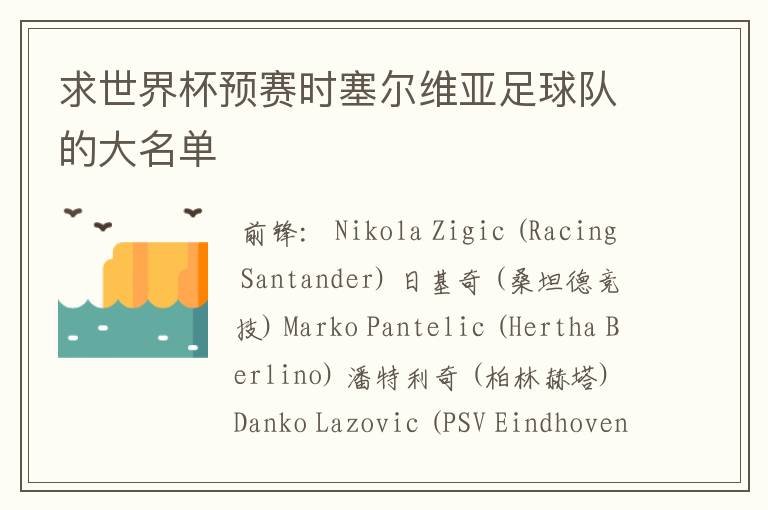 求世界杯预赛时塞尔维亚足球队的大名单