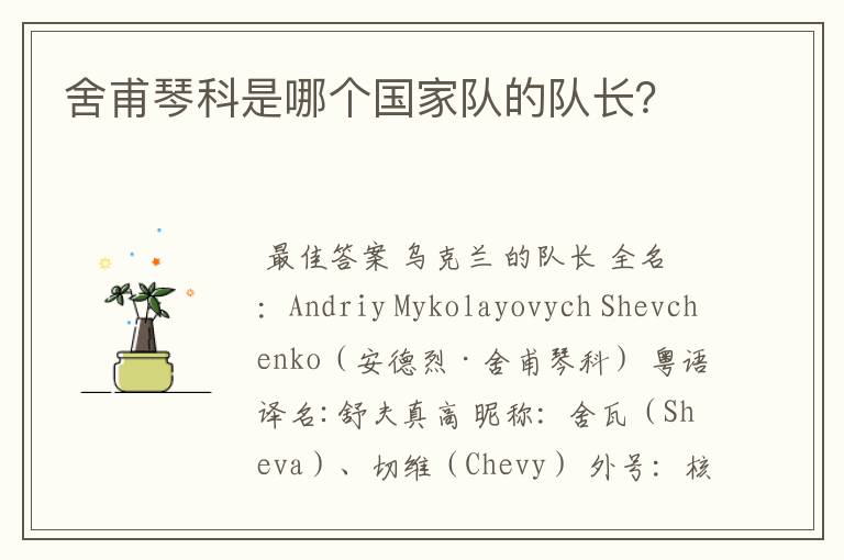 舍甫琴科是哪个国家队的队长?