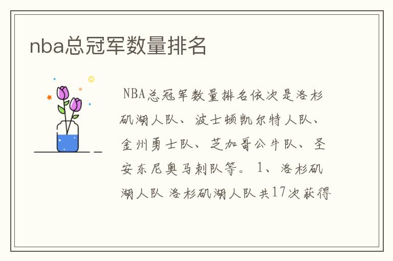 nba总冠军数量排名