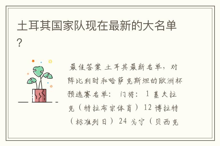 土耳其国家队现在最新的大名单?