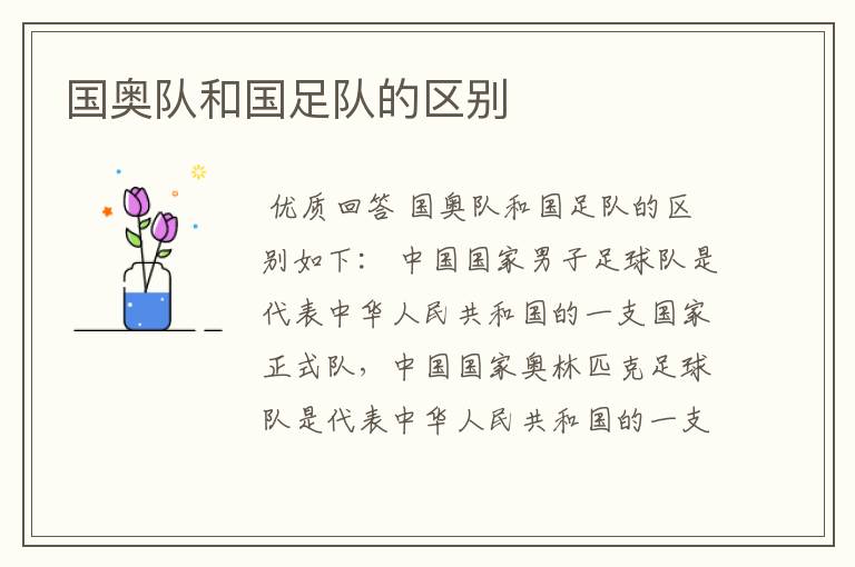 国奥队和国足队的区别