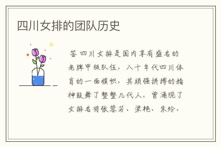 四川女排的团队历史