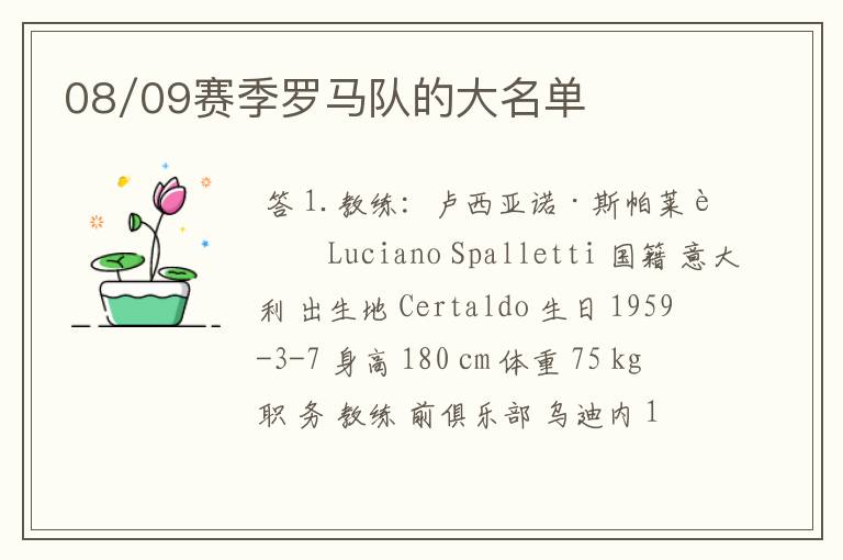 08/09赛季罗马队的大名单