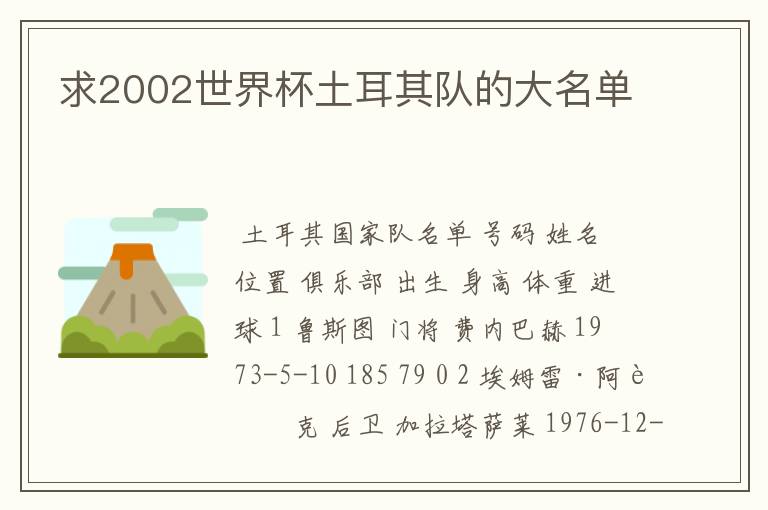 求2002世界杯土耳其队的大名单