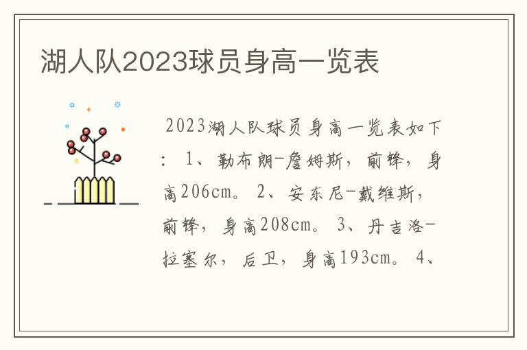 湖人队2023球员身高一览表