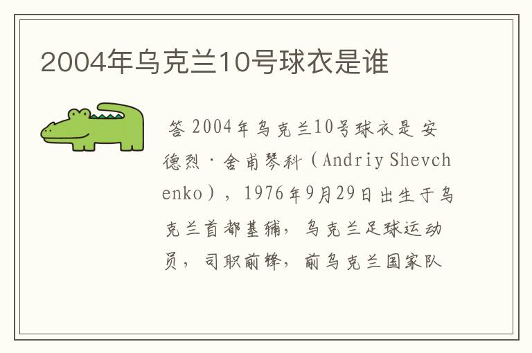 2004年乌克兰10号球衣是谁