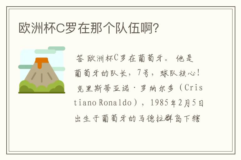 欧洲杯C罗在那个队伍啊?