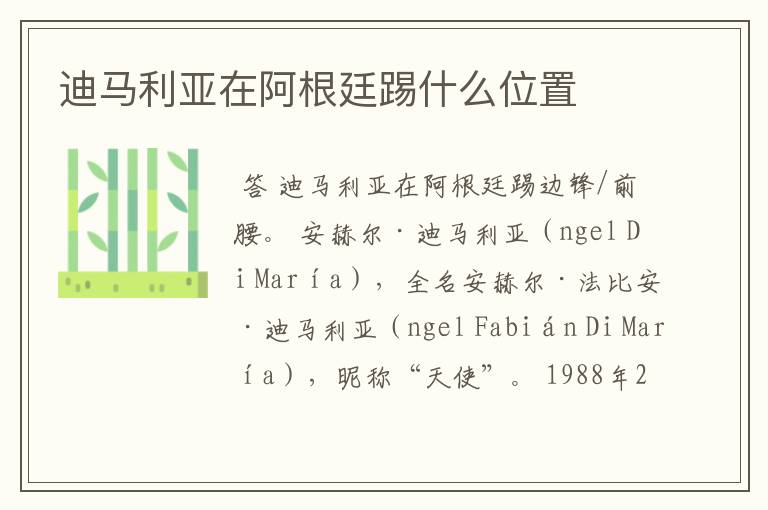 迪马利亚在阿根廷踢什么位置