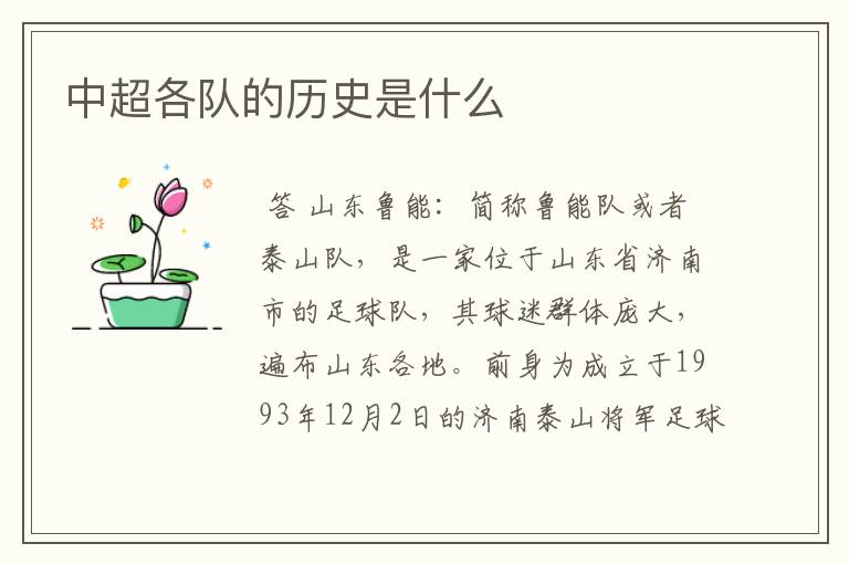 中超各队的历史是什么